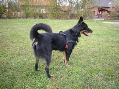Anni wohnt in der Nähe von Braunschweig