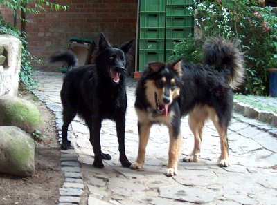 Jori und Suki erzählen sich was