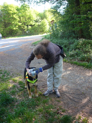 Die Tte mit dem Geruch der zu suchenden Person wird ber die Hundenase gestlpt. Der Hund muss den Geruch einatmen und bekommt das Kommando zum Suchen