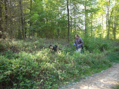 Quer durch die Botanik dem Hund hinterherlaufen