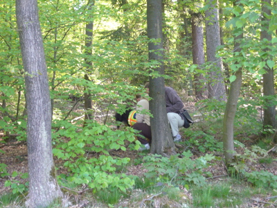 Die Person wurde im Wald aufgesprt