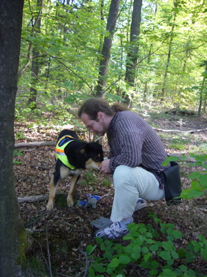 Den Hund in den hchsten Tnen loben und die Belohnung geben
