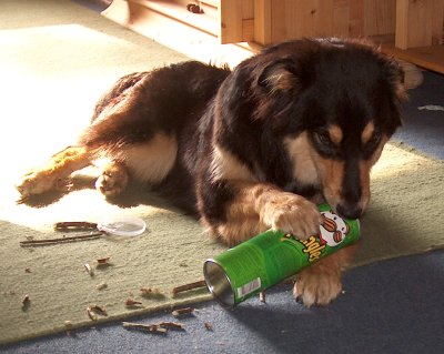 Suki zerlegt ihre erste Pringles-Dose