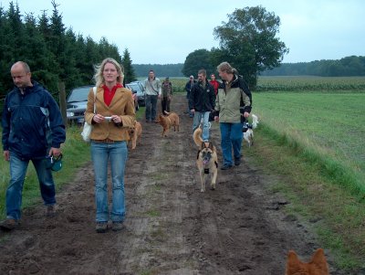 Spaziergang in der Heide mit 11 Hütehunden