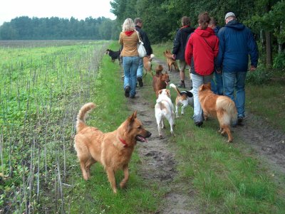 Spaziergang auf dem flachen Land