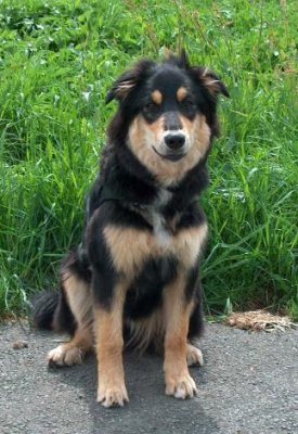 Suki sitzt im Park